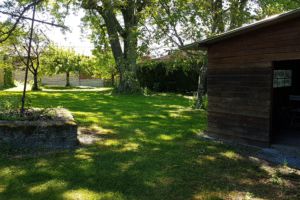 Qualités d bonne mère